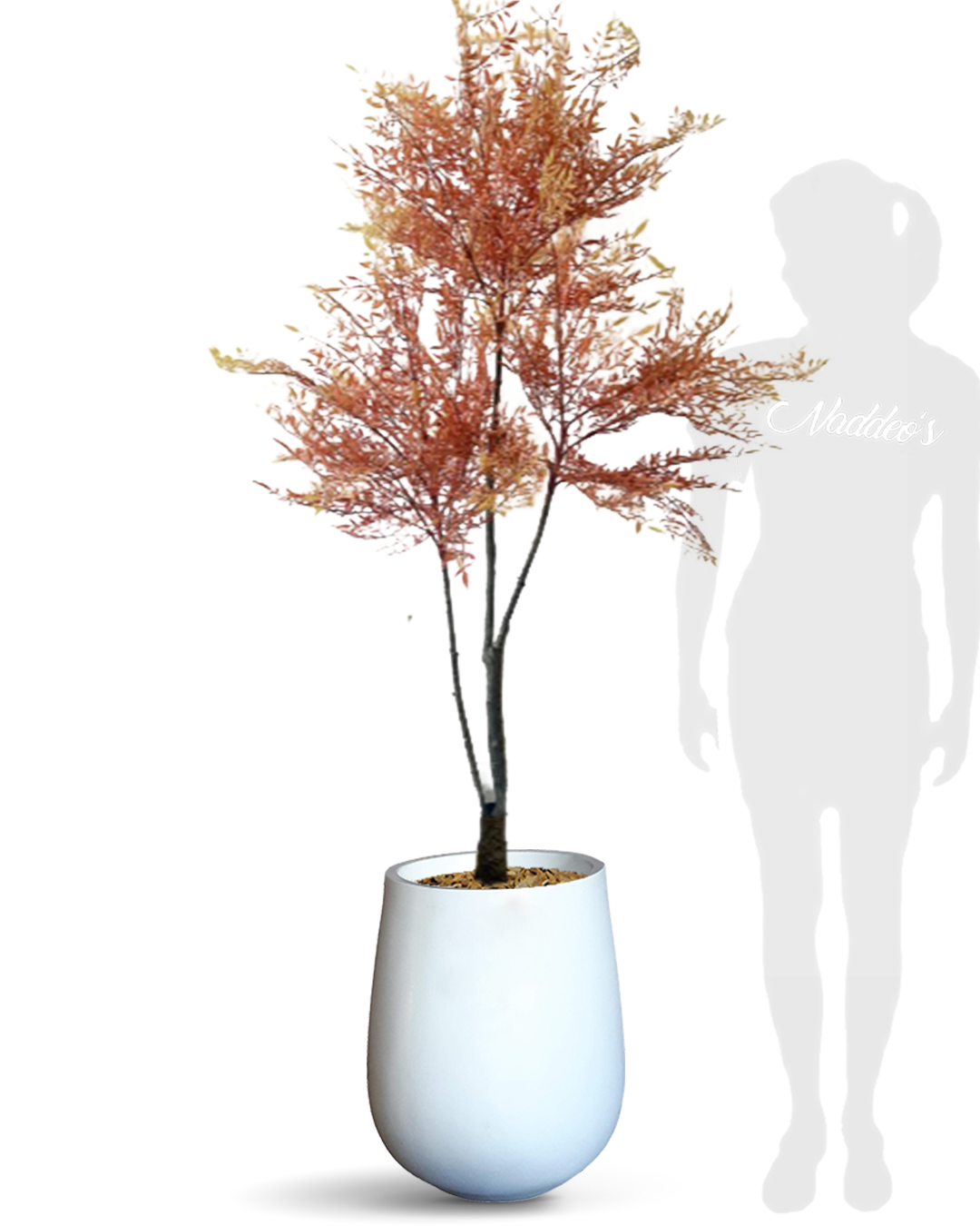 Acer Colorado 170 Jarron 50 blanco