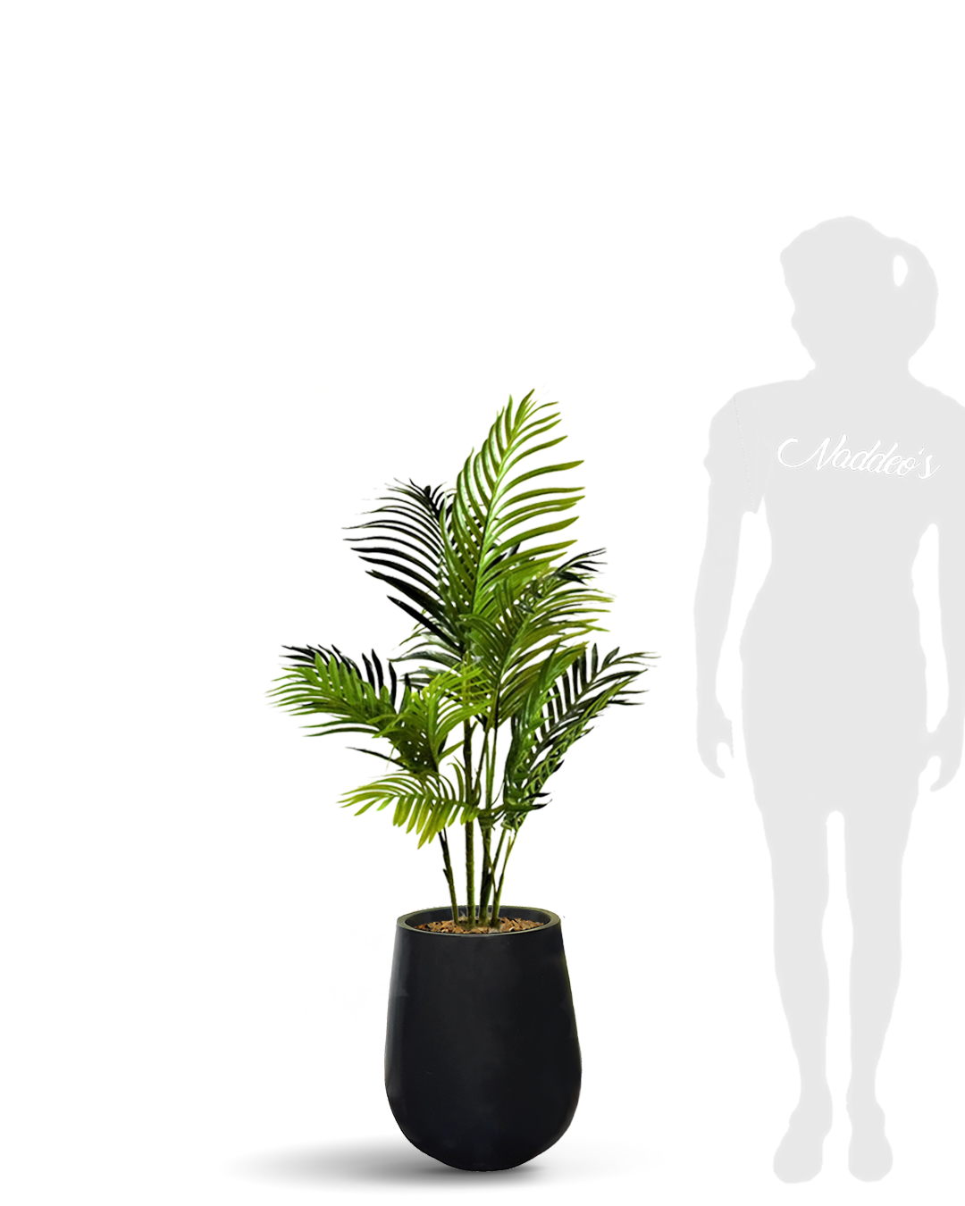 Areca 100 Jarron 35 negro