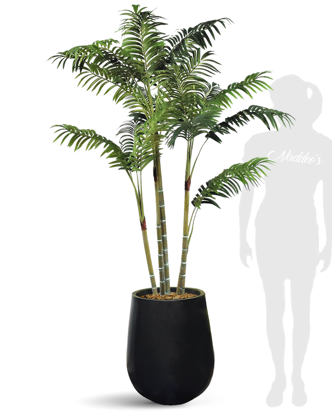 Areca 145 Jarron 50 negro
