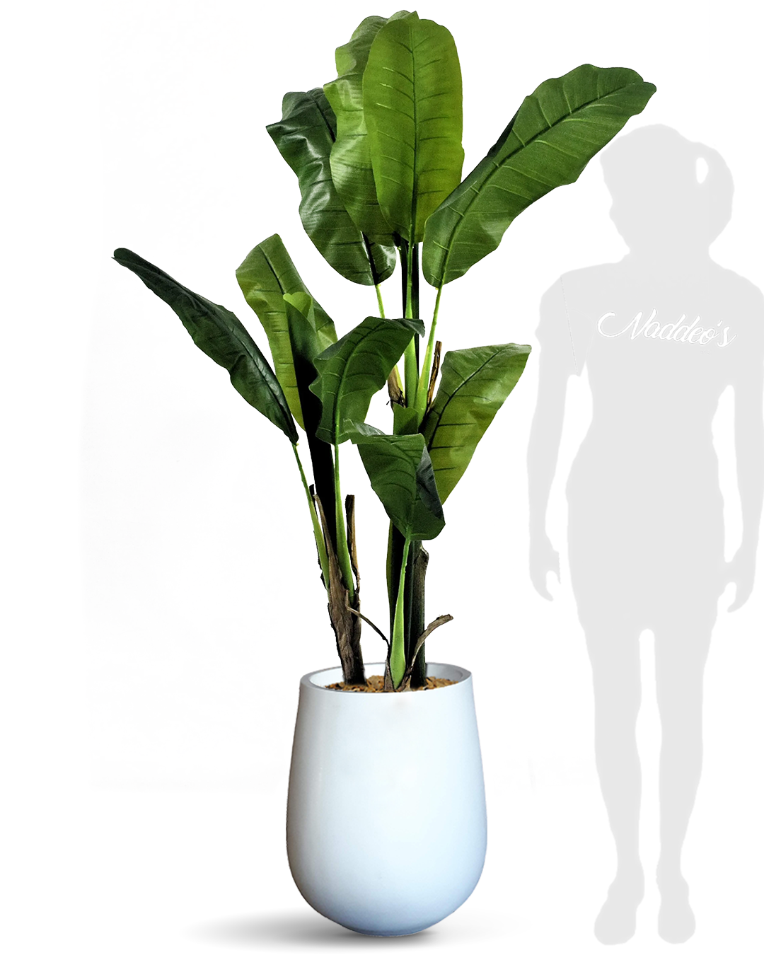 Banano 140 Jarron 50 blanco