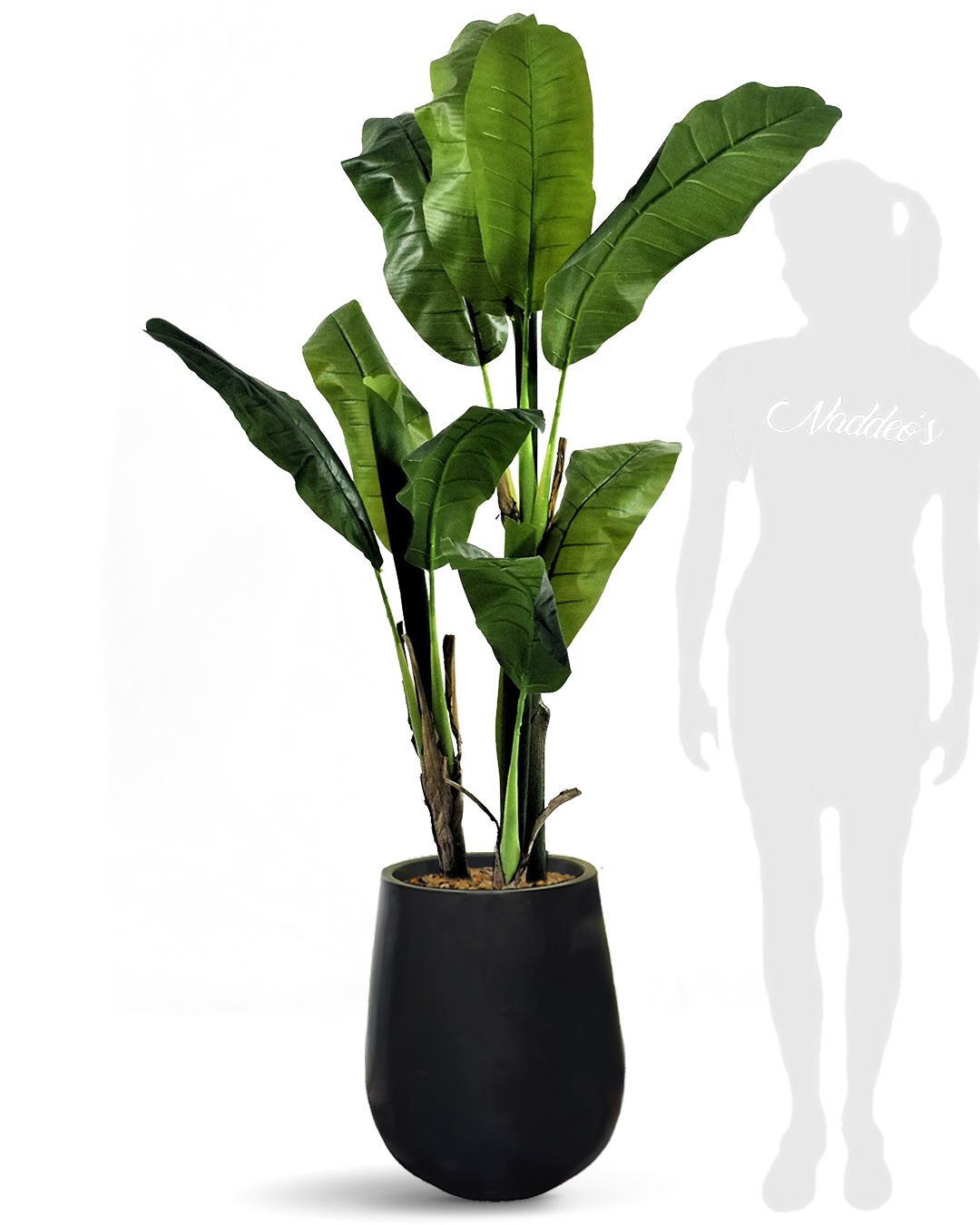 Banano 140 Jarron 50 negro