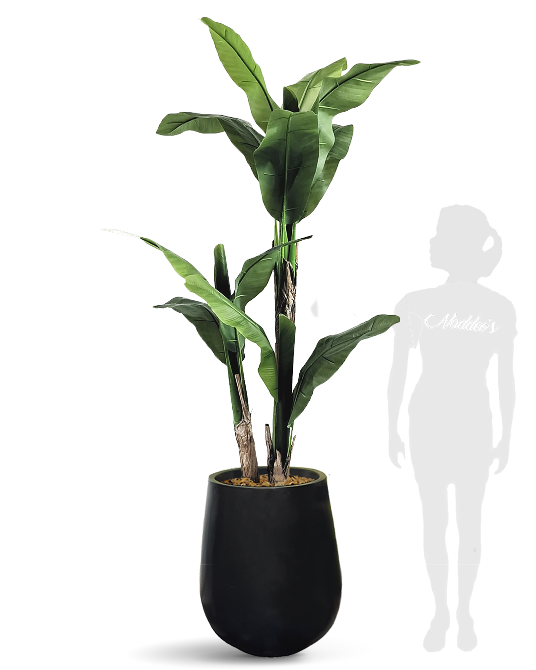 Banano 200 Jarron 64 negro