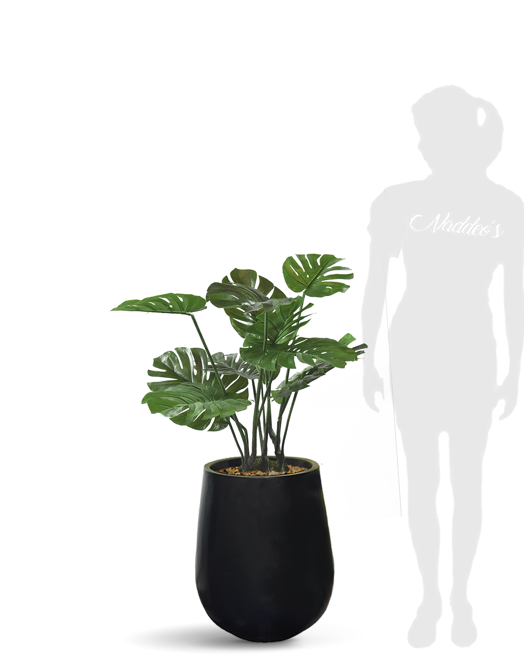 Monstera 70 Jarron 50 Negro