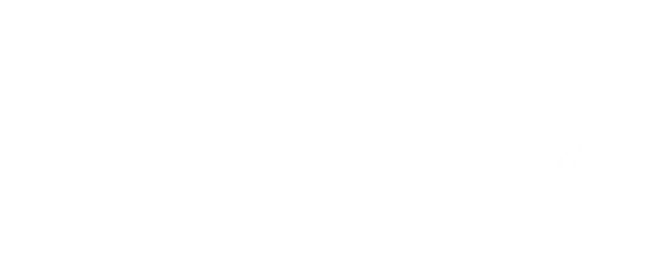 loader image